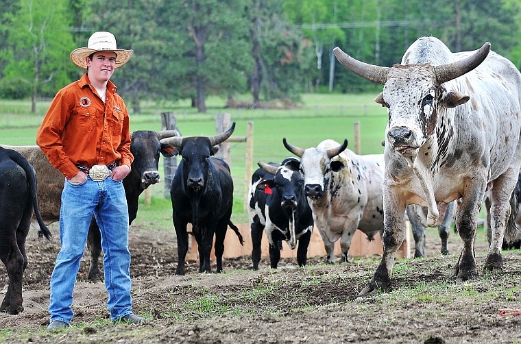 &lt;p&gt;Matt Triplett of Columbia Falls stands among bulls on his family&#146;s property south of Columbia Falls in this file photo. (Daily Inter Lake, file)&lt;/p&gt;