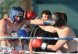 Dogs knock out Cats at boxing night