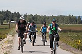 Of bikes and birds