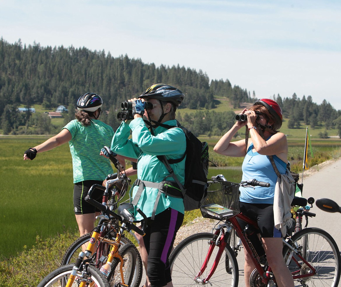 &lt;p&gt;Darlene Carlton, center, and Sheelagh Lynn, right, look for some of the many different species of birds along the trail of the Coeur d'Alenes near Medimont Sunday during a bird-watching bicycle expedition led by Carrie Hugo, wildlife biologist for the Bureau of Land Management's Coeur d'Alene office, and organized by James Blakely from Idaho Parks and Recreation.&lt;/p&gt;