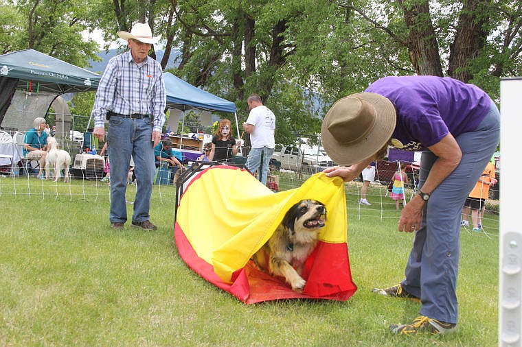 &lt;p&gt;Bill Cenis and his Australian shepherd Lilly test the agility course provided by the Sanders County Dog Training Club while organizer Jan Manning coaxes the dog through the chute.&lt;/p&gt;