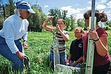 Somers students get their hands dirty