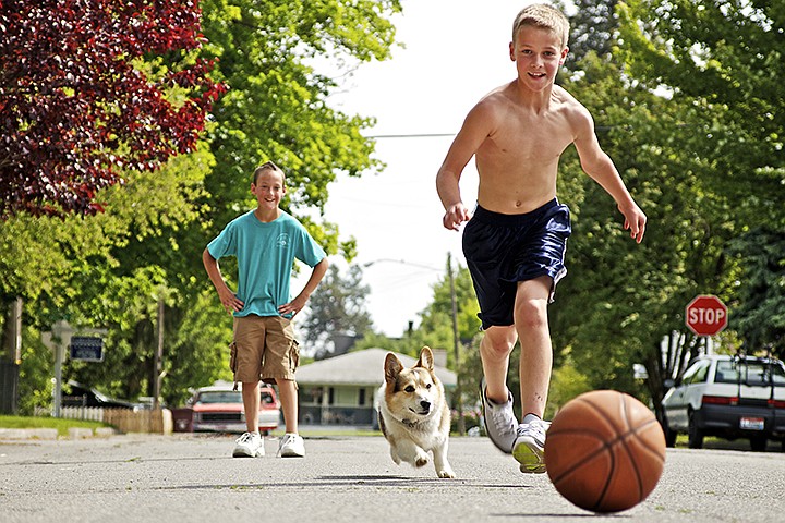 &lt;p&gt;GABE GREEN/Press Chance Trotter, 12, races a neighborhood dog to a basketball Monday during an after-school shoot around session with his friend Dylan Carroll.&lt;/p&gt;