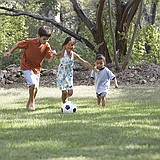 Combatting Warm-Weather Bugs