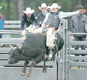 &lt;p&gt;Levi Hendrickson of Arlee chalks up an 80 point ride aboard &quot;Toby&quot; Saturday evening during the Incredi-Bull Blowout at J. Neils Park.&lt;/p&gt;