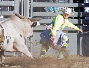 &lt;p&gt;Bull fighter Casey Stuivenga keeps a close eye on &quot;Ice Cream&quot; after Dakota Beck's 83-point winning ride Saturday during Incredi-Bull 2015.&lt;/p&gt;
