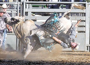 &lt;p&gt;Dakota Beck of Moses Lake, Wash., with the 83 point winning ride aboard &quot;Ice Cream&quot; during Incredi-Bull 2015 at J. Neils Park Saturday night.&lt;/p&gt;