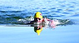 Man aims to swim Flathead Lake