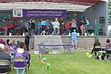 Cancer fight detailed at Relay For Life