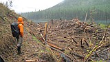 Wet, cold June impacting Park opening