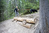 Sprunger-Whitney nature trail kept pristine by non-profit partnerships