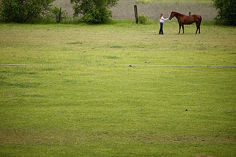 &lt;p&gt;Makenly Davis approaches one of her horses in the pasture Friday behind her home in Post Falls.&lt;/p&gt;