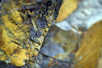 Lead