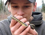 Biology students get out of the classroom and into the field