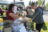 Larson farmers market begins June 25