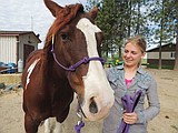 Restaurant server hopes for horse training career