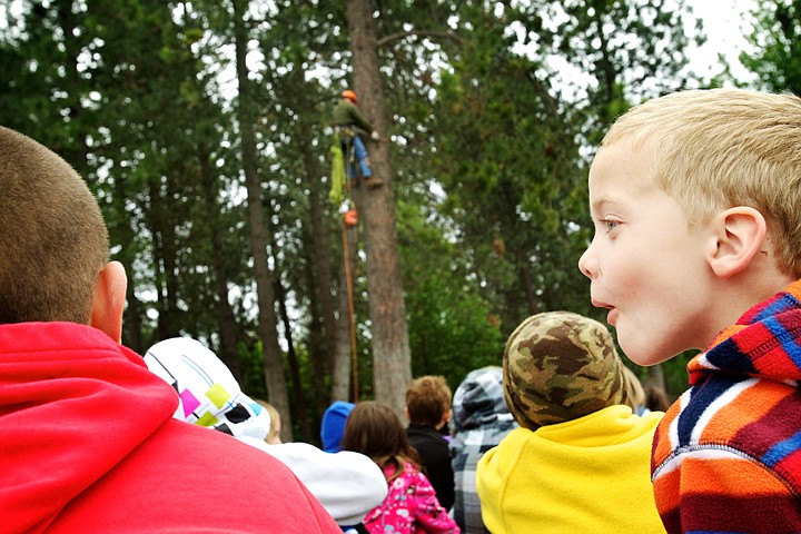 &lt;p&gt;JEROME A. POLLOS/Press Braedon Pearce, 6, gets excited about Sammy Boyd, with All Seasons Tree Service, climbing a pine tree on the playground at Fernan Elementary during a CDA4Kids presentation Thursday.&lt;/p&gt;