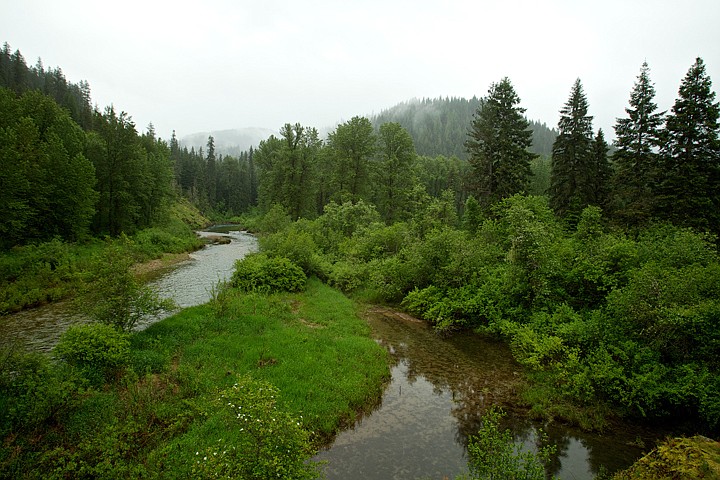 &lt;p&gt;JEROME A. POLLOS/Press Spring runoff waters flow through Bumblebee Creek toward the Coeur d'Alene River during a break in the rainfall Monday.&lt;/p&gt;