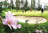 Marathon golf round to benefit junior program