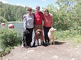 Local man saves dog from going over the dam