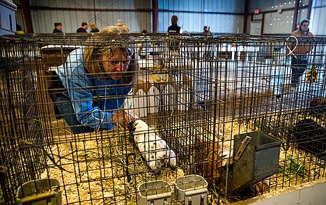 &lt;p&gt;Cindy Edington, one of the board members on the Humane Society, pets one of the guinea pigs at the fairgrounds during their first adoption fair. All of the animals seized from the Athol home have been adopted.&lt;/p&gt;