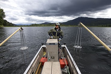 <p>The Idaho Department of Fish and Game is working with the Coeur d'Alene Tribe and the Idaho Department of Environmental Quality in a sampling of different species of fish from the Chain Lakes. The groups are conducting research to determine the ecology of the lakes, as well as test for lead, zinc and cadmium levels in the fishes' tissue. The IDFG uses gill nets to capture larger species of fish, as well as bottom-feeding fish, and use electrofishing to gather smaller fish that are found in shallower waters. To purchase photo, please visit www.cdapress.com/photos</p>