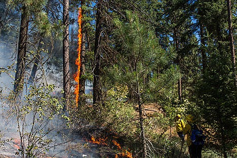 &lt;p&gt;Two Coeur d'Alene Fire Department fire fighters watch as flames reach upwards of 20 feet in some places at the Tubbs Hill fire on Saturday evening.&lt;/p&gt;