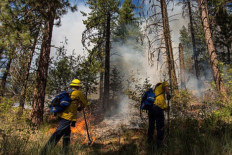 &lt;p&gt;Two Coeur d'Alene Fire Department fire fighters dig a trench around the perimeter of the fire in an attempt to contain the blaze and prevent it from moving west down toward the main trail on Tubbs Hill.&lt;/p&gt;