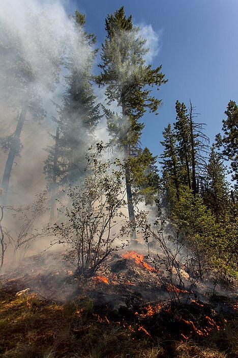 &lt;p&gt;At 7:00 p.m. on Saturday evening, approximately 5 acres had already burnt in the Tubbs Hill fire.&lt;/p&gt;