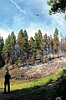 Crews respond to wildfire