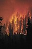 Draft wildfire plan calls for proactive measures