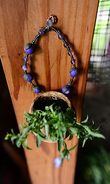 &lt;p&gt;Carolyn Snyder is adding a new addition to her collection &#151; hanging plants decorated with strands of beads. (Brenda Ahearn/Daily Inter Lake)&lt;/p&gt;