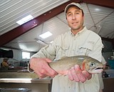 A wild fish journey: From the Bob to the hatchery and back