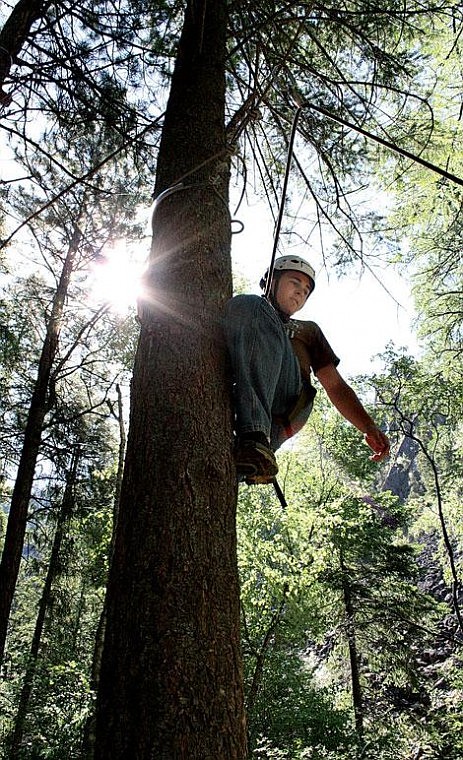 Photo by Jason Shueh Temporary staff member Josiah Murphey, 18, from Polson learns about the belaying system while climbing one of Camp Bighorn&#146;s trees.