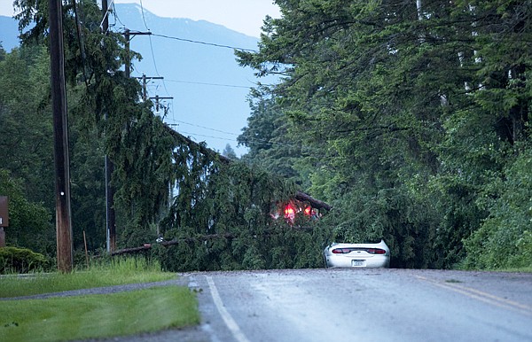 &lt;p&gt;A driver walked away from their car after a tree fell on it, and another on a power-line on West Evergreen in Evergreen on Saturday, June 23.&lt;/p&gt;