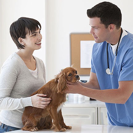 Easy Ways to Keep Your Pet Happy and Healthy