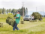 bucking hay 1.JPG