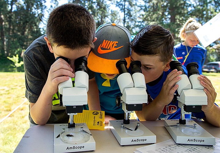 &lt;p&gt;TESS FREEMAN/Press&lt;/p&gt;&lt;p&gt;From left: Sam Meyer, 10, Cameren Cope, 10, and Evan Mallory, 10, look at a caddisfly through a microscope at the University of Idaho&#146;s Harbor Center on Wednesday morning. Four fourth grade classes from Hayden Meadows Elementary School rotated through four activities organized by the University of Idaho&#146;s Community Water Resource Center to learn about the connectivity of water and ecosystems.&lt;/p&gt;