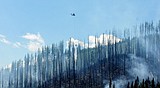 Glacier Rim Fire 'intense' at core