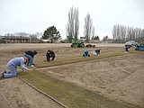 Warden baseball field gets new sod