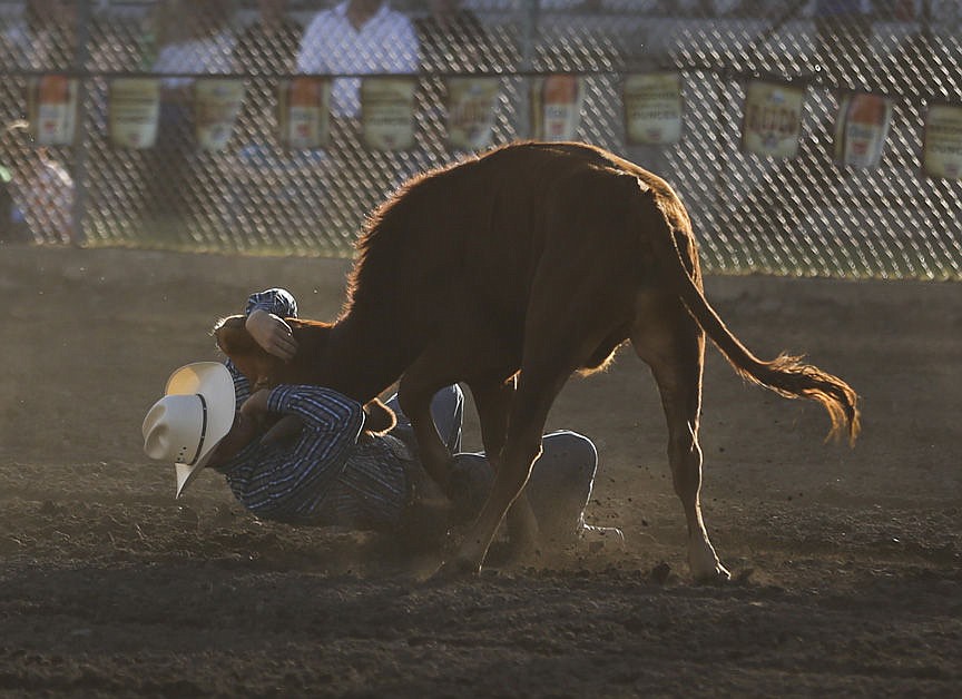 &lt;p&gt;Kylie Richter/ Lake County Leader Will Powell of St. Ignatius competes in steer wrestling Friday night at the Mission Mountain rodeo.&lt;/p&gt;