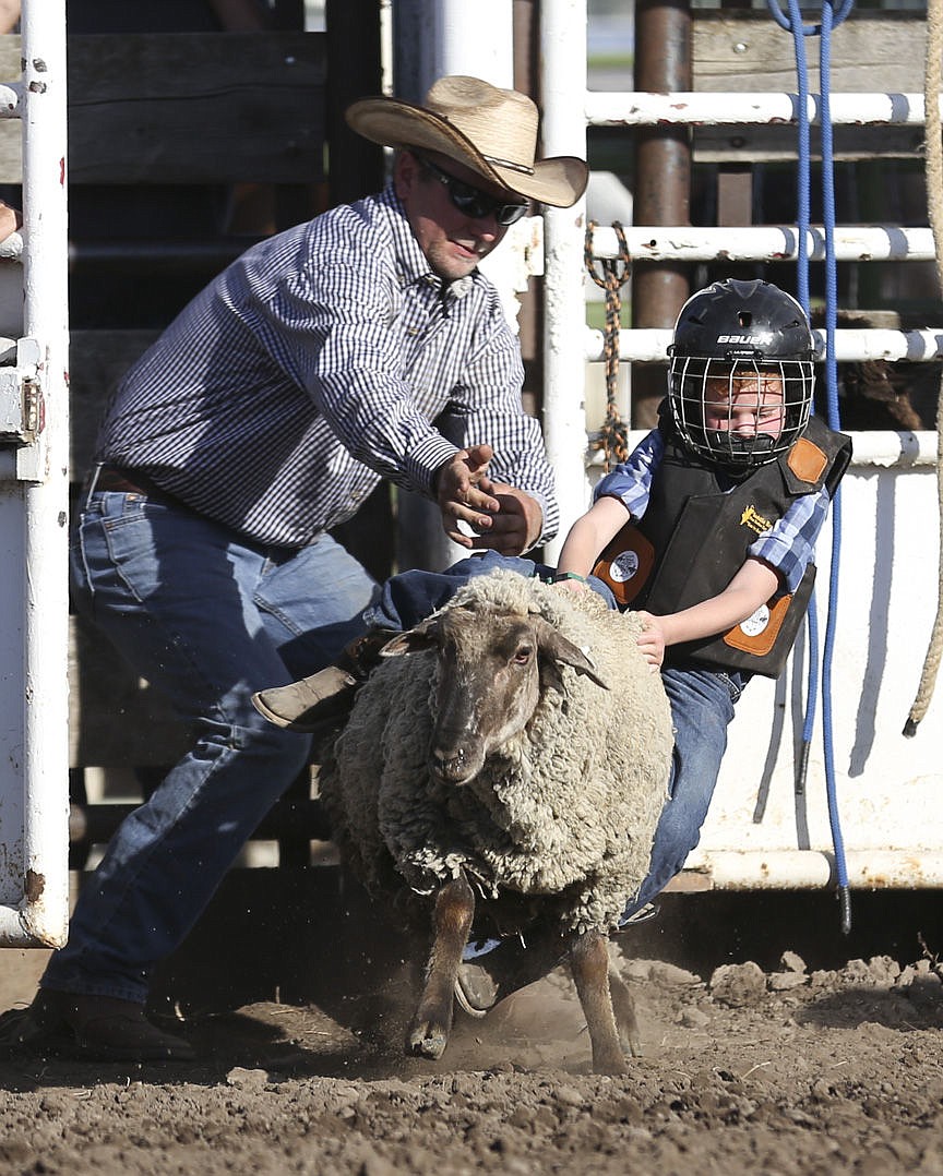 &lt;p&gt;Kylie Richter/ Lake County Leader Easton Gilmore of Polson competes in mutton bustin' Friday night at the Mission Mountain rodeo.&lt;/p&gt;