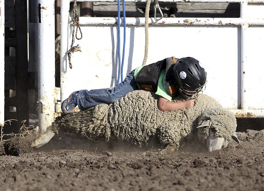 &lt;p&gt;Kylie Richter/ Lake County Leader Levi Atkins of Polson competes in mutton bustin' Friday night at the Mission Mountain rodeo.&lt;/p&gt;