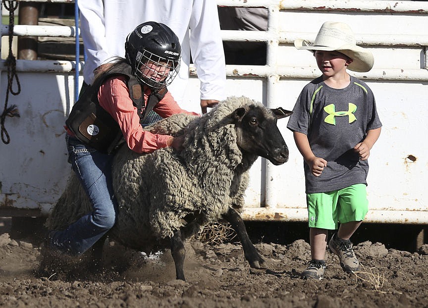 &lt;p&gt;Kylie Richter/ Lake County Leader Aubrey Gilmore of Polson competes in mutton bustin' Friday night at the Mission Mountain rodeo.&lt;/p&gt;