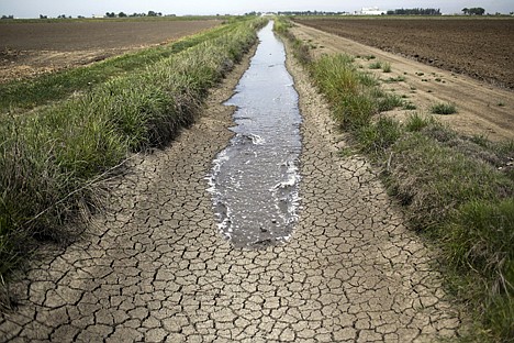 &lt;p&gt;Irrigation water runs along a dried-up ditch between rice farms in Richvale, Calif., on May 1.&lt;/p&gt;