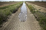 H2O prices run hot