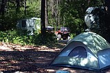 Camp sites setting attendance records