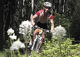 Early Bird fields elite racers