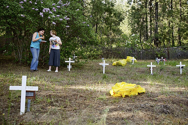 &lt;p&gt;JEROME A. POLLOS/Press Faith Eckard, 14, left, and Emma Mazurik, 9, take a pizza break Monday during the Pine Tree 4-H Club's annual clean-up effort of the Kootenai County Cemetery on Seltice Way near Huetter. The Pine Tree 4-H Club has been responsible for cleaning the area since 1976 when a restoration effort took place for the 48-plot cemetery. The club only missed one year and that was in 1980 due to the amount of ash on the area after the Mount St. Helen's eruption.&lt;/p&gt;