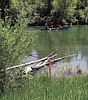 Signs point to Whitefish River clean-up